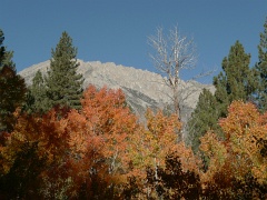 California-Fall2010 655